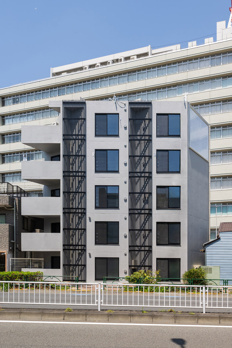 Plumeria 学芸大学