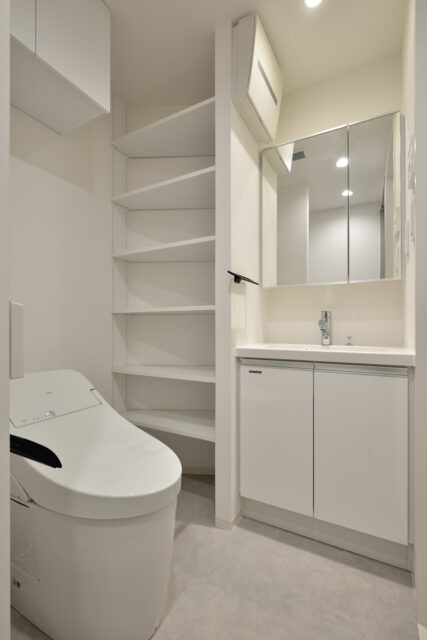 レクス武蔵小山【販売済】