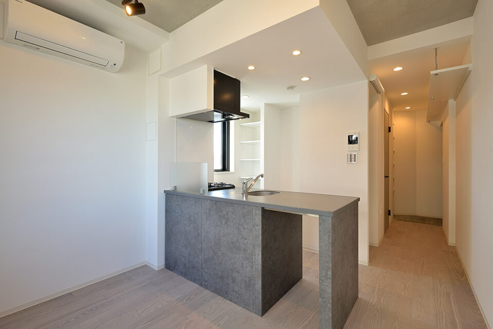 レクス武蔵小山【販売済】